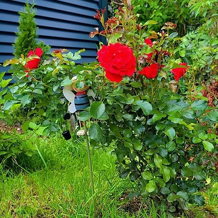 Noor Lux Apartmán *