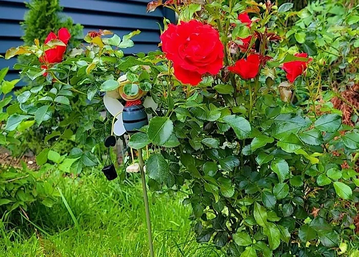 Noor Lux 아파트 *